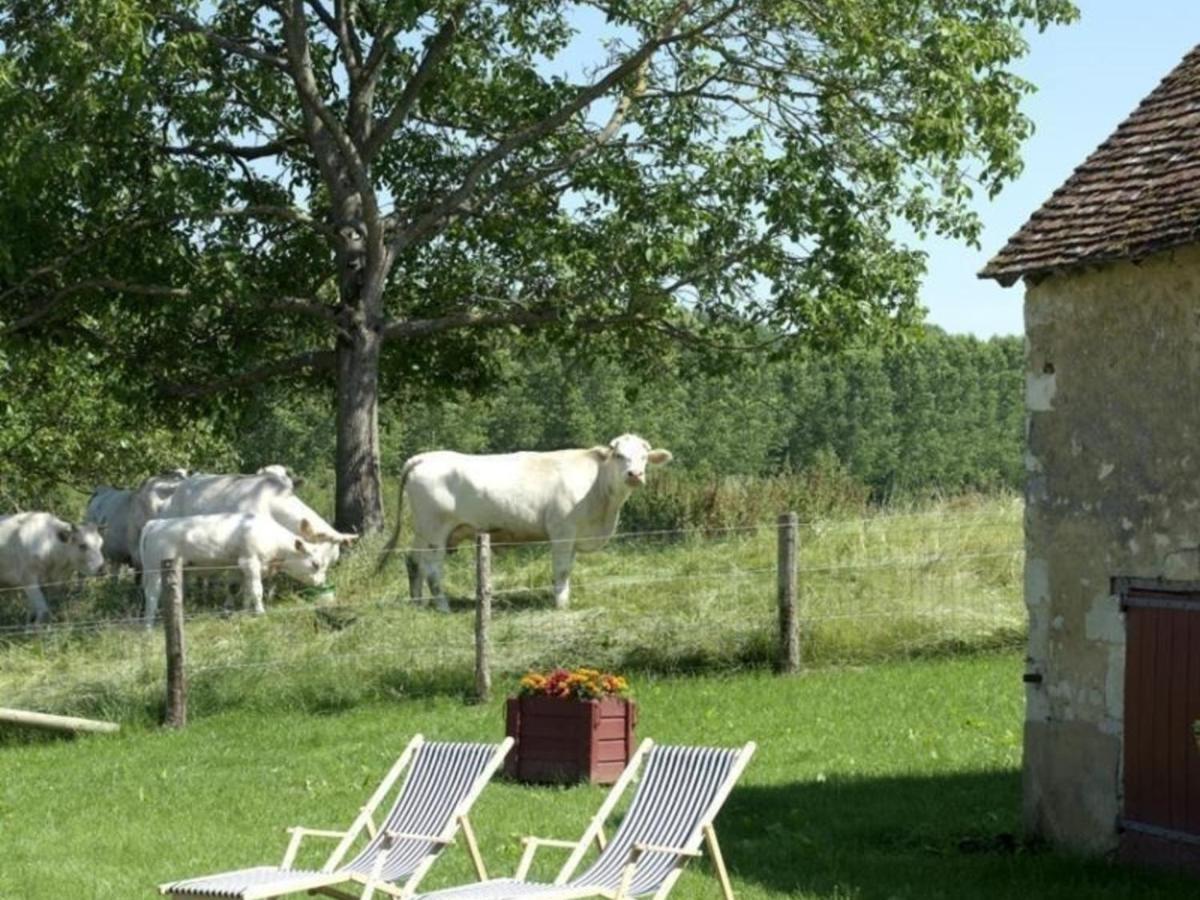 Gîte Pervenchères, 4 pièces, 6 personnes - FR-1-497-49 Extérieur photo